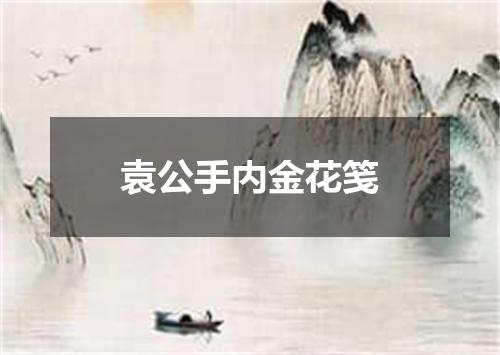 袁公手内金花笺