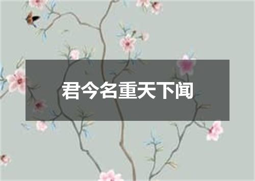 君今名重天下闻