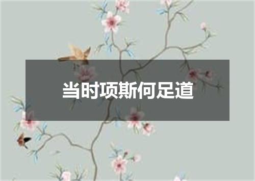 当时项斯何足道
