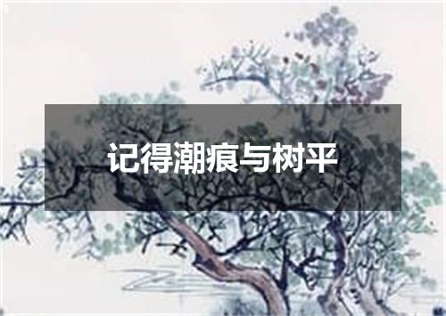 记得潮痕与树平