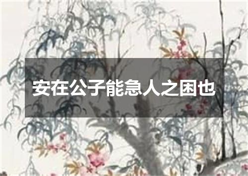 安在公子能急人之困也
