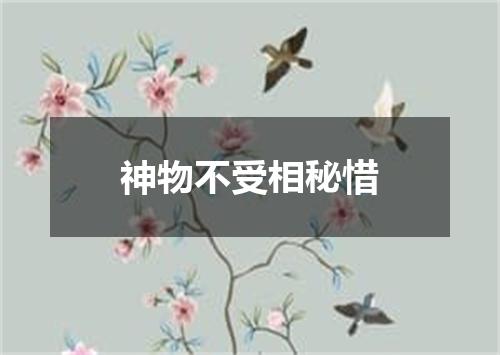 神物不受相秘惜
