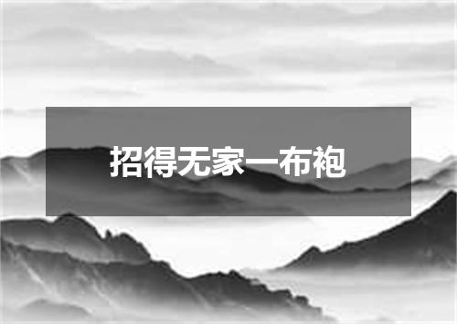 招得无家一布袍