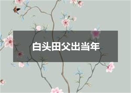 白头田父出当年