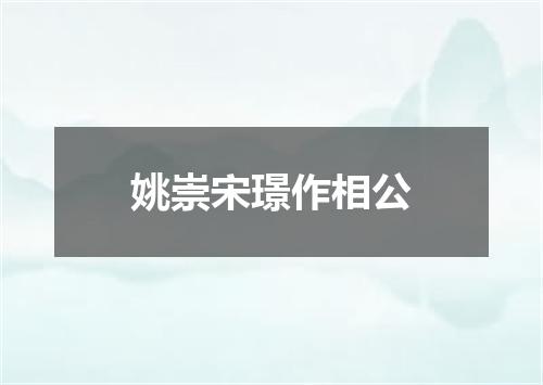 姚崇宋璟作相公