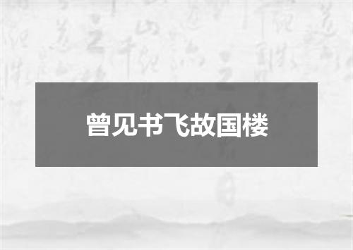 曾见书飞故国楼