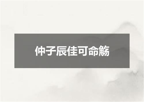 仲子辰佳可命觞