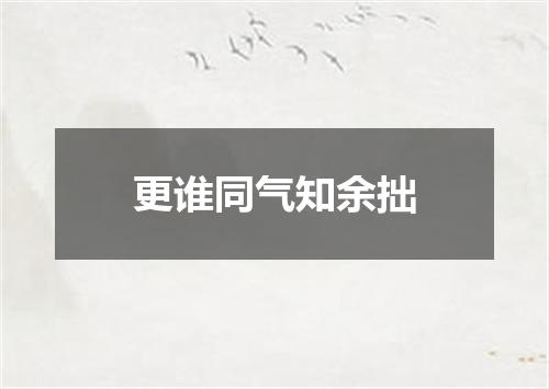 更谁同气知余拙
