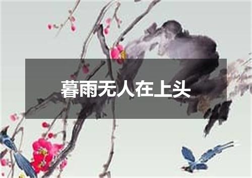 暮雨无人在上头