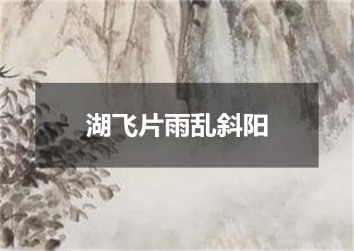 湖飞片雨乱斜阳