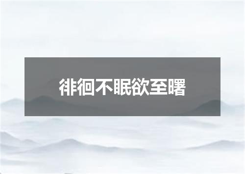 徘徊不眠欲至曙