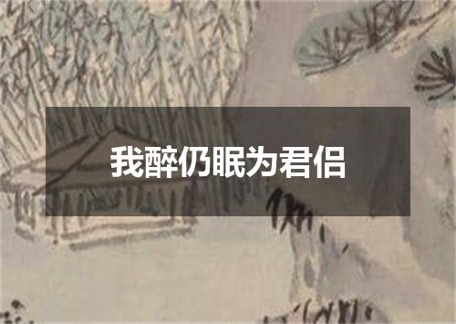 我醉仍眠为君侣