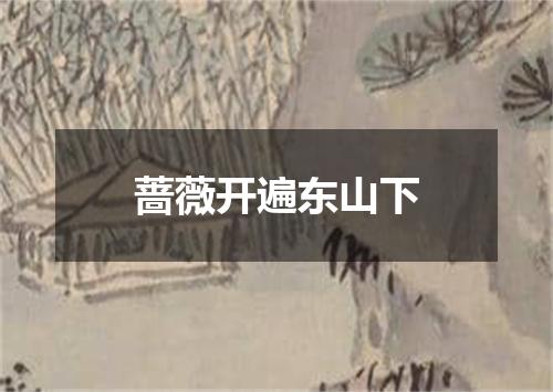 蔷薇开遍东山下