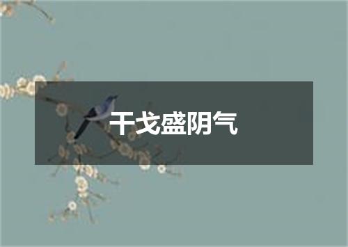 干戈盛阴气
