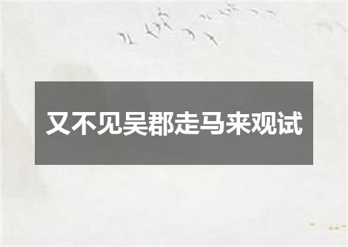 又不见吴郡走马来观试