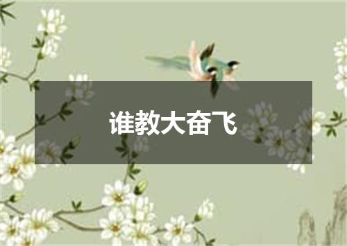 谁教大奋飞