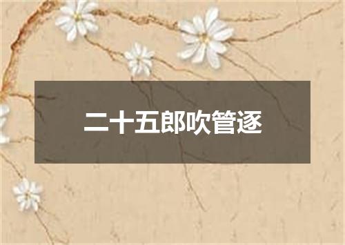 二十五郎吹管逐
