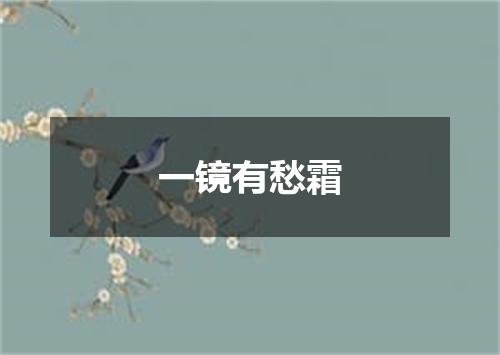 一镜有愁霜