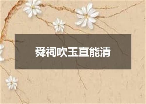 舜祠吹玉直能清