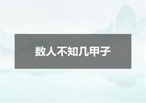 数人不知几甲子