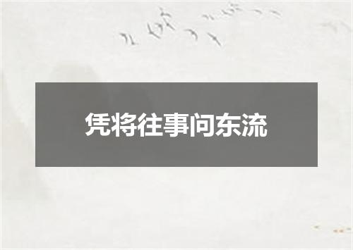凭将往事问东流