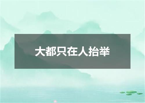 大都只在人抬举