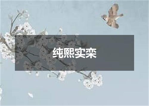 纯熙实栾