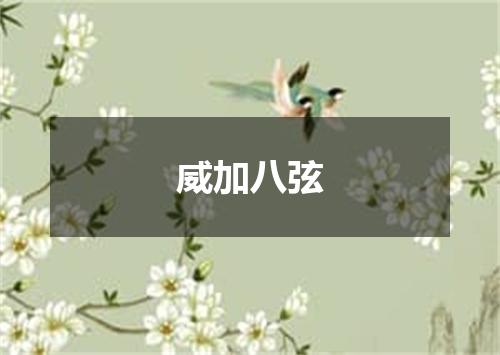 威加八弦