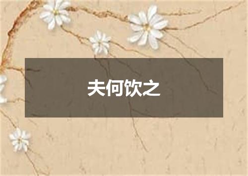 夫何饮之