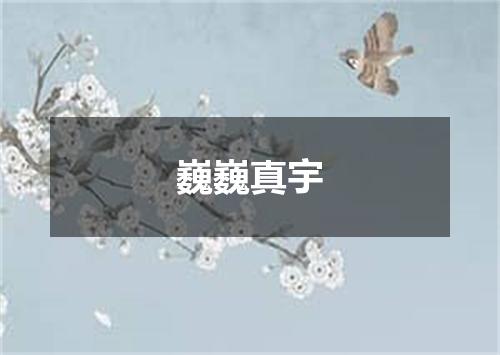 巍巍真宇