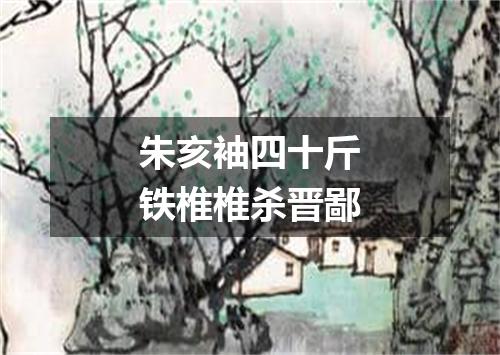 朱亥袖四十斤铁椎椎杀晋鄙