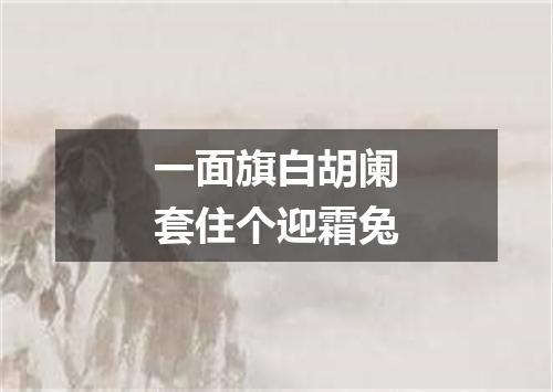 一面旗白胡阑套住个迎霜兔