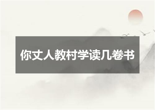 你丈人教村学读几卷书