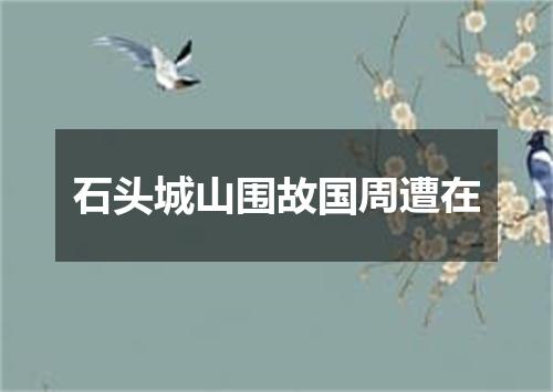 石头城山围故国周遭在