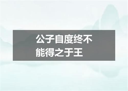 公子自度终不能得之于王