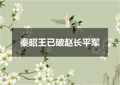秦昭王已破赵长平军