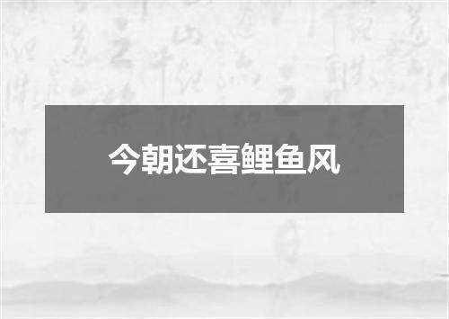 今朝还喜鲤鱼风