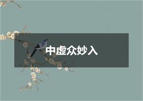 中虚众妙入