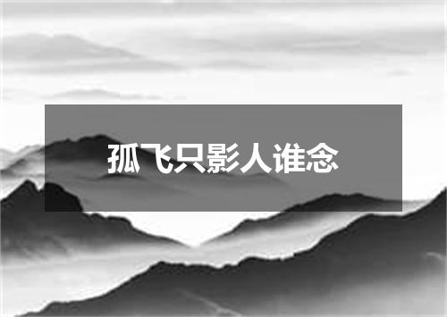 孤飞只影人谁念