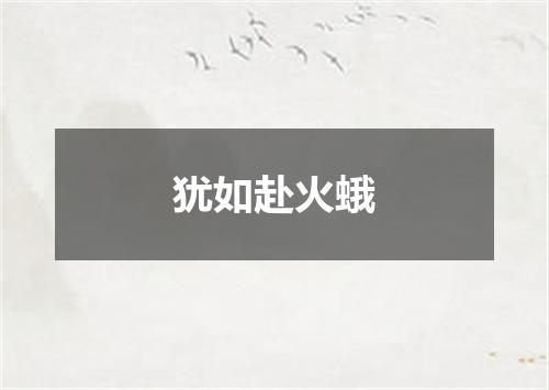犹如赴火蛾