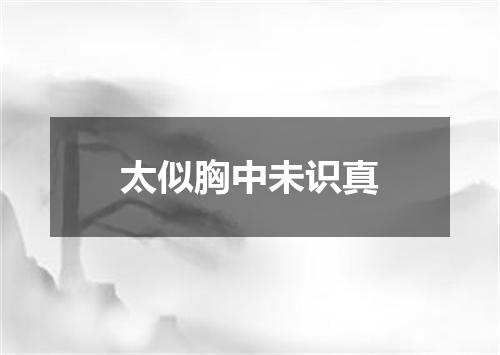 太似胸中未识真