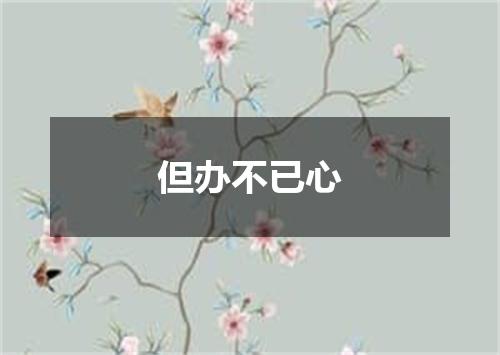但办不已心