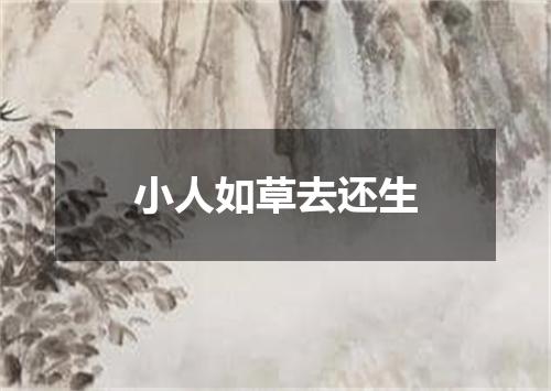小人如草去还生