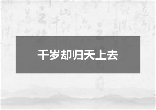 千岁却归天上去