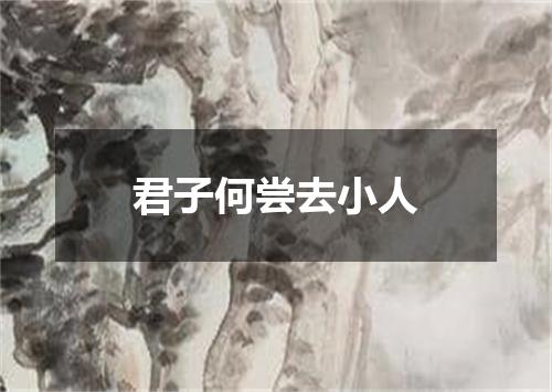 君子何尝去小人