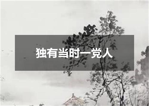 独有当时一党人