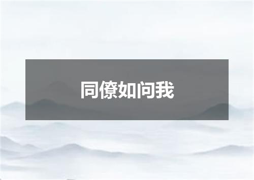 同僚如问我