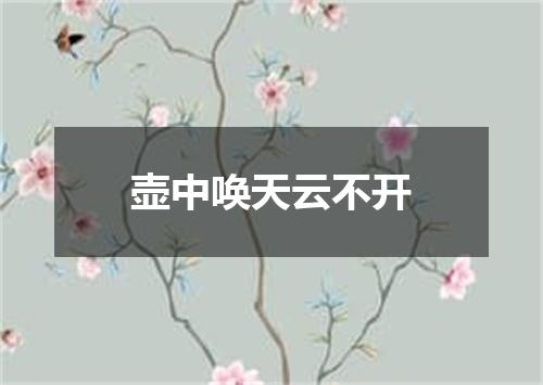 壶中唤天云不开