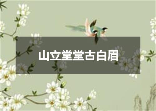 山立堂堂古白眉