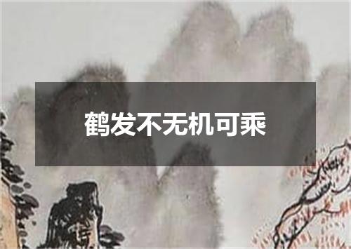 鹤发不无机可乘